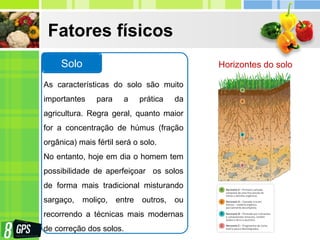 Fatores físicos
As características do solo são muito
importantes para a prática da
agricultura. Regra geral, quanto maior
for a concentração de húmus (fração
orgânica) mais fértil será o solo.
No entanto, hoje em dia o homem tem
possibilidade de aperfeiçoar os solos
de forma mais tradicional misturando
sargaço, moliço, entre outros, ou
recorrendo a técnicas mais modernas
de correção dos solos.
Solo Horizontes do solo
 
