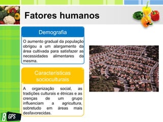 Fatores humanos
O aumento gradual da população
obrigou a um alargamento da
área cultivada para satisfazer as
necessidades alimentares da
mesma.
Demografia
A organização social, as
tradições culturais e étnicas e as
crenças de um grupo
influenciam a agricultura,
sobretudo em áreas mais
desfavorecidas.
Características
socioculturais
 