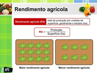 Rendimento agrícola
Rendimento agrícola (RA)
total de produção por unidade de
superfície, geralmente o hectare (ha).
RA =
Produção
Superfície (ha)
Maior rendimento agrícola Menor rendimento agrícola
 