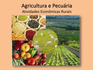 Agricultura e Pecuária 
Atividades Econômicas Rurais 
 