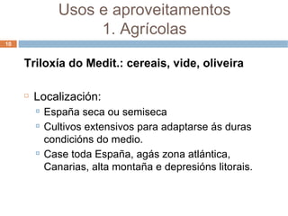 Usos e aproveitamentos 1. Agrícolas Triloxía do Medit.: cereais, vide, oliveira Localización: España seca ou semiseca Cultivos extensivos para adaptarse ás duras condicións do medio. Case toda España, agás zona atlántica, Canarias, alta montaña e depresións litorais. 