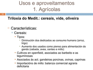 Triloxía do Medit.: cereais, vide, oliveira Características: Cereais: Tipos: Diminución dos dedicados ao consumo humano (arroz, trigo) ‏ Aumento dos usados como pienso para alimentación do gando (cebada, avea, centeo e millo) ‏ Cultivos en openfield, asociados ao barbeito e as leguminosas Asociados ás act. gandeiras porcinas, ovinas, caprinas Importacións de millo: balanza comercial agraria deficitaria Usos e aproveitamentos 1. Agrícolas 