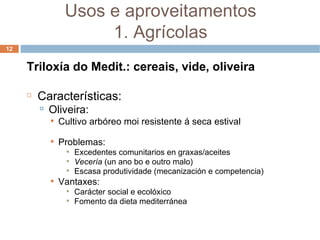 Triloxía do Medit.: cereais, vide, oliveira Características: Oliveira: Cultivo arbóreo moi resistente á seca estival Problemas: Excedentes comunitarios en graxas/aceites Vecería  (un ano bo e outro malo) ‏ Escasa produtividade (mecanización e competencia) ‏ Vantaxes: Carácter social e ecolóxico Fomento da dieta mediterránea Usos e aproveitamentos 1. Agrícolas 