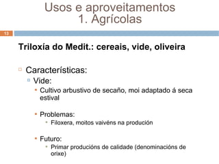 Triloxía do Medit.: cereais, vide, oliveira Características: Vide: Cultivo arbustivo de secaño, moi adaptado á seca estival Problemas: Filoxera, moitos vaivéns na produción Futuro: Primar producións de calidade (denominacións de orixe) ‏ Usos e aproveitamentos 1. Agrícolas 