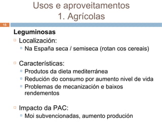 Leguminosas Localización: Na España seca / semiseca (rotan cos cereais) ‏ Características: Produtos da dieta mediterránea Redución do consumo por aumento nivel de vida Problemas de mecanización e baixos rendementos Impacto da PAC: Moi subvencionadas, aumento produción Usos e aproveitamentos 1. Agrícolas 