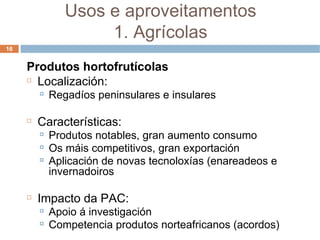 Produtos hortofrutícolas Localización: Regadíos peninsulares e insulares Características: Produtos notables, gran aumento consumo Os máis competitivos, gran exportación Aplicación de novas tecnoloxías (enareadeos e invernadoiros Impacto da PAC: Apoio á investigación Competencia produtos norteafricanos (acordos) ‏ Usos e aproveitamentos 1. Agrícolas 