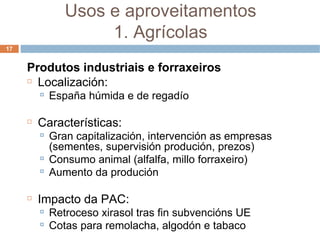 Produtos industriais e forraxeiros Localización: España húmida e de regadío Características: Gran capitalización, intervención as empresas (sementes, supervisión produción, prezos) ‏ Consumo animal (alfalfa, millo forraxeiro) ‏ Aumento da produción Impacto da PAC: Retroceso xirasol tras fin subvencións UE Cotas para remolacha, algodón e tabaco Usos e aproveitamentos 1. Agrícolas 