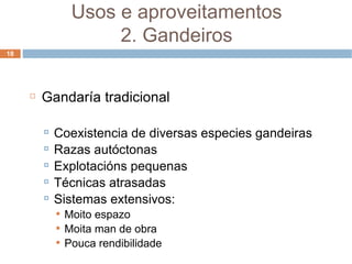 Gandaría tradicional Coexistencia de diversas especies gandeiras Razas autóctonas Explotacións pequenas Técnicas atrasadas Sistemas extensivos: Moito espazo Moita man de obra Pouca rendibilidade Usos e aproveitamentos 2. Gandeiros 