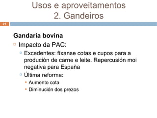 Gandaría bovina Impacto da PAC: Excedentes: fíxanse cotas e cupos para a produción de carne e leite. Repercusión moi negativa para España Última reforma: Aumento cota Diminución dos prezos Usos e aproveitamentos 2. Gandeiros 