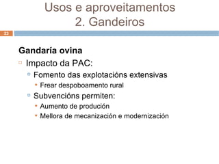 Gandaría ovina Impacto da PAC: Fomento das explotacións extensivas Frear despoboamento rural Subvencións permiten: Aumento de produción Mellora de mecanización e modernización Usos e aproveitamentos 2. Gandeiros 