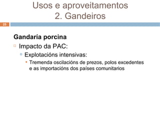 Gandaría porcina Impacto da PAC: Explotacións intensivas: Tremenda oscilacións de prezos, polos excedentes e as importacións dos países comunitarios Usos e aproveitamentos 2. Gandeiros 