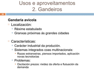 Gandaría avícola Localización: Réxime estabulado Granxas próximas ás grandes cidades Características: Carácter industrial da produción. Sistemas integrados coas multinacionais:  Razas estranxeiras, piensos importados, aplicación novas tecnoloxías Problemas: Oscilación prezos: rixidez da oferta e flutuación da demanda Usos e aproveitamentos 2. Gandeiros 