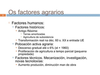 Os factores agrarios Factores humanos: Factores históricos: Antigo Réxime: Terras amortizadas Agricultura de subsistencia Transformación real na déc. 60 s. XX e entrada UE Poboación activa agraria: Descenso gradual até o 6% (st + 1960) ‏ Proliferación de agricultura a tempo parcial (pequena propiedade)  Factores técnicos. Mecanización, investigación, novas tecnoloxías:  Aumento produción, diminución man de obra  