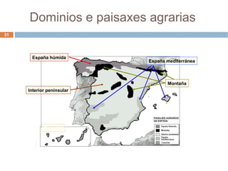 Dominios e paisaxes agrarias  España húmida Montaña Interior peninsular España mediterránea Canarias Fuente: Elaboración propia 