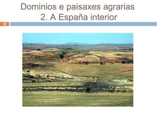 Dominios e paisaxes agrarias  2. A España interior 