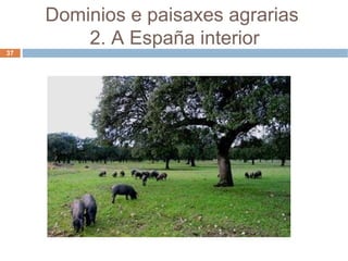 Dominios e paisaxes agrarias  2. A España interior 