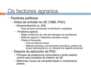 Os factores agrarios Factores políticos: Antes da entrada na UE (1986, PAC): Desamortización (s. XIX) ‏ Paso da terra amortizada á individual e capitalista Problema agrario: Malas condicións de vida dos labregos (st xornaleiros) ‏ Reforma agraria: II República (carácter social) ‏ Ditadura franquista: Freo da reforma social Melloras técnicas: concentración parcelaria, política de novas colonizacións e, st, fomento do regadío (encoros) ‏ Despois da aplicación da PAC: Principio de preferencia comunitaria e tarifa exterior común para produtos do exterior da UE Reformas: busca da competitividade e mantemento prezos  
