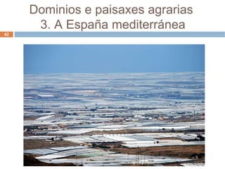 Dominios e paisaxes agrarias  3. A España mediterránea 