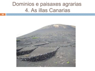 Dominios e paisaxes agrarias  4. As illas Canarias 