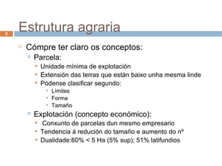 Estrutura agraria Cómpre ter claro os conceptos: Parcela:  Unidade mínima de explotación Extensión das terras que están baixo unha mesma linde Pódense clasificar segundo: Límites Forma Tamaño Explotación (concepto económico): Conxunto de parcelas dun mesmo empresario Tendencia á redución do tamaño e aumento do nº Dualidade:60% < 5 Ha (5% sup); 51% latifundios 
