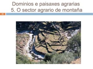 Dominios e paisaxes agrarias  5. O sector agrario de montaña 