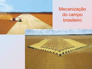 Mecanização do campo brasileiro 