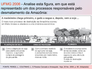 UFMG 2006  - Analise esta figura, em que está representado um dos processos responsáveis pelo desmatamento da Amazônia: FONTE: PERES, L.; COUTINHO, L. O Paraíso Cercado e Ameaçado.  Veja , 25 fev. 2004, p. 65. (Adaptada) 