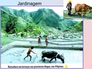 Jardinagem 