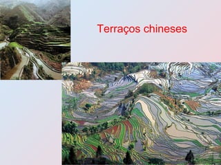 Terraços chineses 