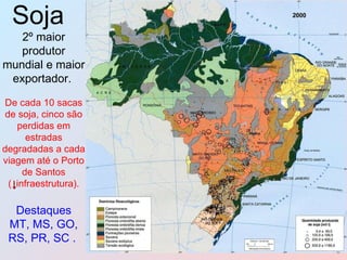 Soja   2º maior produtor mundial e maior exportador.  De cada 10 sacas de soja, cinco são perdidas em estradas degradadas a cada viagem até o Porto de Santos ( ↓ infraestrutura). Destaques MT, MS, GO, RS, PR, SC .  