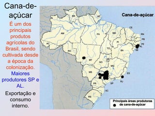 Cana-de-açúcar É um dos principais produtos agrícolas do Brasil, sendo cultivada desde a época da colonização.  Maiores produtores SP e AL. Exportação e consumo interno. 