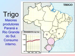 Trigo   Maiores produtores Paraná e Rio Grande do Sul. Consumo interno. 