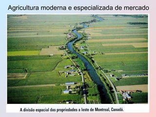 Agricultura moderna e especializada de mercado 