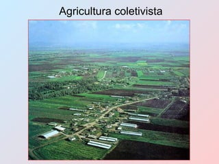 Agricultura coletivista 