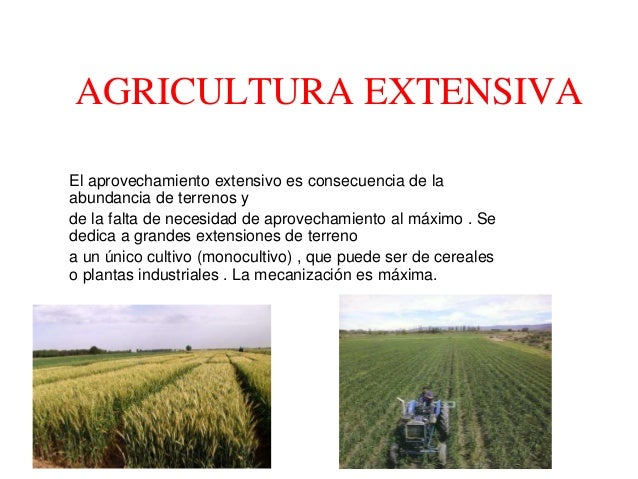 Agricultura extensiva