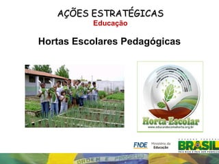 AÇÕES ESTRATÉGICAS
          Educação

Hortas Escolares Pedagógicas
 