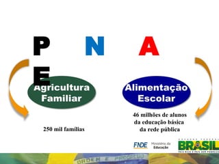  


P              N     A
E
                   46 milhões de alunos
                   da educação básica
250 mil famílias     da rede pública
 