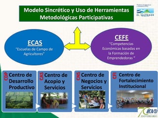 Agricultura familiar el salvador edgar cruz palencia