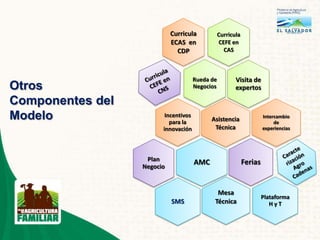 Agricultura familiar el salvador edgar cruz palencia