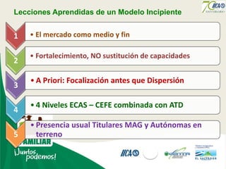 Agricultura familiar el salvador edgar cruz palencia