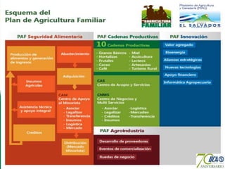 Agricultura familiar el salvador edgar cruz palencia