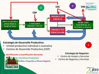 Agricultura familiar el salvador edgar cruz palencia