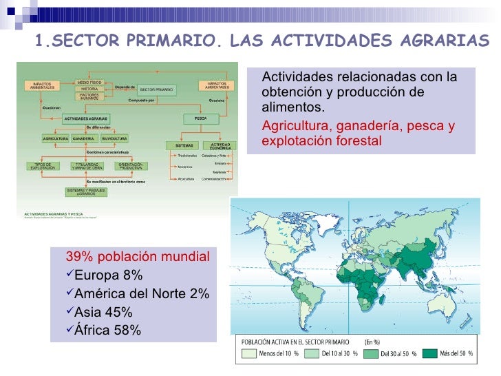 La Agricultura La Ganaderia Y La Pesca Pesca Información La Agricultura La Ganaderia Y La Pesca Pesca Información