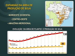 EXPANSÃO DA ÁREA DE
PRODUÇÃO DE SOJA
• NORDESTE OCIDENTAL
• CENTRO-OESTE
• AMAZÔNIA MERIDIONAL
130
EVOLUÇÃO DA ÁREA DE PLANTIO E PRODUÇÃO DE SOJA
 