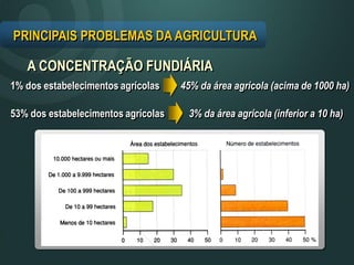 A CONCENTRAÇÃO FUNDIÁRIA
1% dos estabelecimentos agrícolas
3% da área agrícola (inferior a 10 ha)
PRINCIPAIS PROBLEMAS DA AGRICULTURA
45% da área agrícola (acima de 1000 ha)
53% dos estabelecimentos agrícolas
 