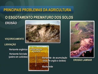 PRINCIPAIS PROBLEMAS DA AGRICULTURA
O ESGOTAMENTO PREMATURO DOS SOLOS
VOÇOROCAMENTO
EROSÃO
LIXIVIAÇÃO
Horizonte orgânico
Horizonte lixiviado
(pobre em colóides)
SUBSTÂNCIAS
SOLÚVEIS
EROSÃO LAMINAR
Horizonte de acumulação
(rico em argila e óxidos)
Rocha mãe
 