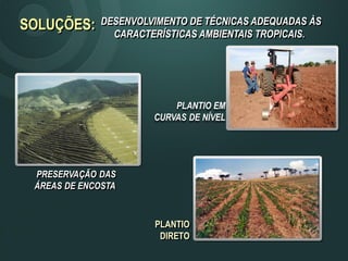 SOLUÇÕES: DESENVOLVIMENTO DE TÉCNICAS ADEQUADAS ÀS
CARACTERÍSTICAS AMBIENTAIS TROPICAIS.
PRESERVAÇÃO DAS
ÁREAS DE ENCOSTA
PLANTIO
DIRETO
PLANTIO EM
CURVAS DE NÍVEL
 
