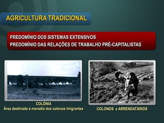 COLÔNIA
Área destinada à moradia dos colonos imigrantes COLONOS e ARRENDATÁRIOS
AGRICULTURA TRADICIONAL
PREDOMÍNIO DOS SISTEMAS EXTENSIVOS
PREDOMÍNIO DAS RELAÇÕES DE TRABALHO PRÉ-CAPITALISTAS
 