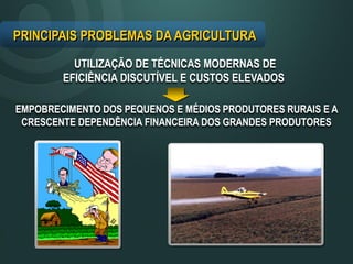 PRINCIPAIS PROBLEMAS DA AGRICULTURA
UTILIZAÇÃO DE TÉCNICAS MODERNAS DE
EFICIÊNCIA DISCUTÍVEL E CUSTOS ELEVADOS
EMPOBRECIMENTO DOS PEQUENOS E MÉDIOS PRODUTORES RURAIS E A
CRESCENTE DEPENDÊNCIA FINANCEIRA DOS GRANDES PRODUTORES
 