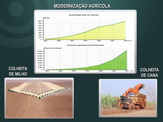COLHEITA
DE MILHO
MODERNIZAÇÃO AGRÍCOLA
COLHEITA
DE CANA
 